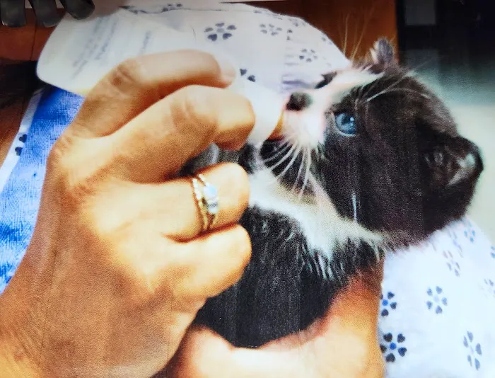 Waukegan Pet Clinic Picture 3