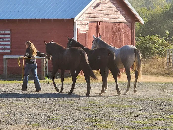 Cascade West Veterinary Hospital Picture 4