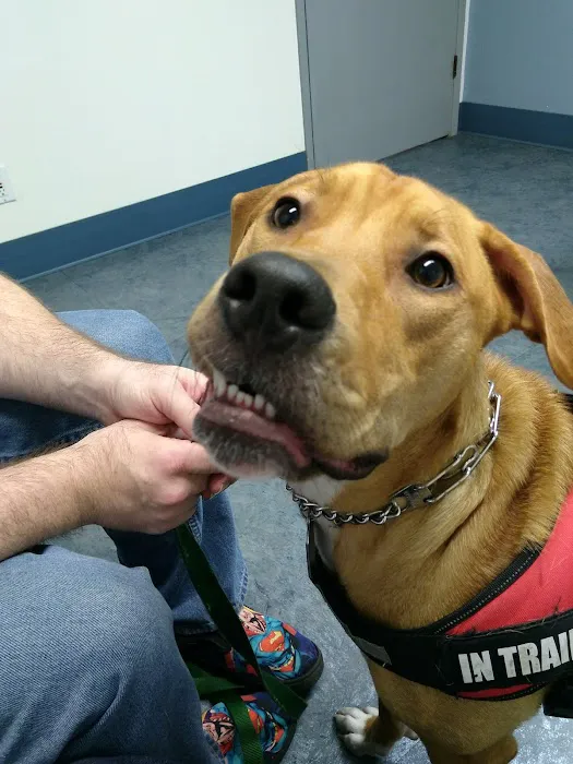 Chehalis Centralia Veterinary Hospital Picture 2
