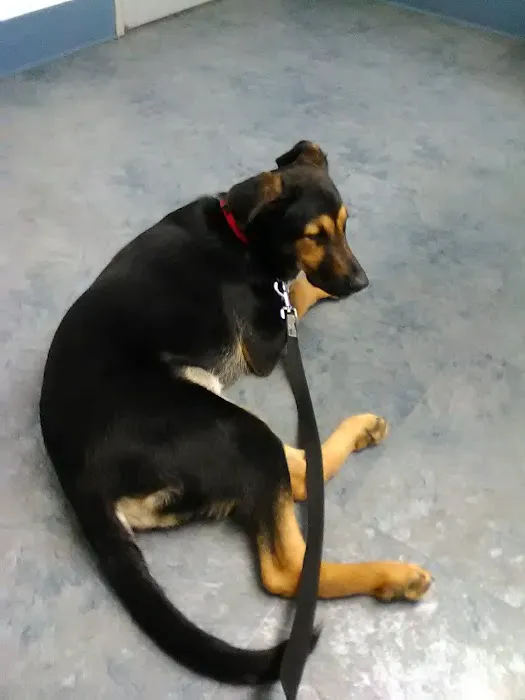Chehalis Centralia Veterinary Hospital Picture 8