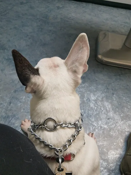 Chehalis Centralia Veterinary Hospital Picture 9