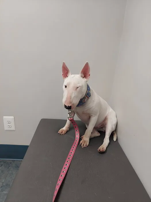 Chehalis Centralia Veterinary Hospital Picture 10