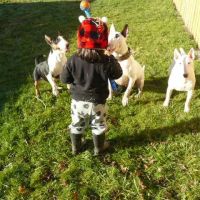 Newaukum Valley Veterinary Services on State (CCVH) ico