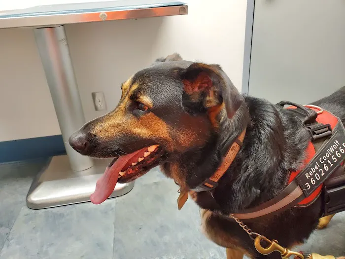 Newaukum Valley Veterinary Services on State (CCVH) Picture 7