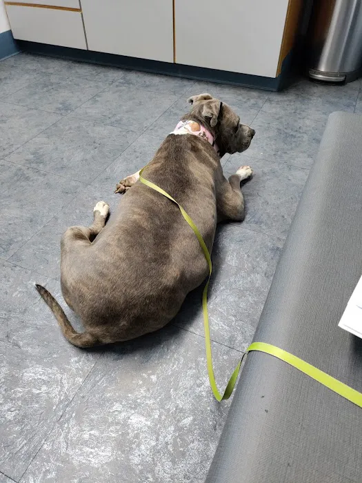 Newaukum Valley Veterinary Services on State (CCVH) Picture 6