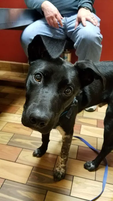 Portola Plaza Veterinary Hospital Picture 7