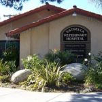 Estrella Veterinary Hospital, A Thrive Pet Healthcare Partner