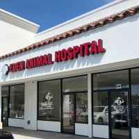 Eden Animal Hospital ico