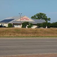 Wellborn Road Veterinary Medical Center ico