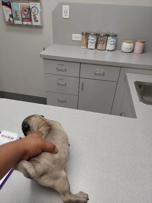 Wellborn Road Veterinary Medical Center Picture 4