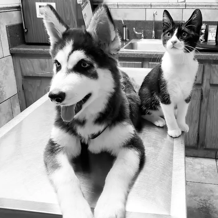 Highway 30 Veterinary Clinic Picture 4