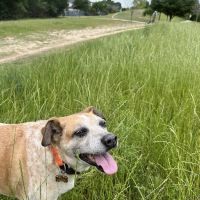 Highway 30 Veterinary Clinic ico
