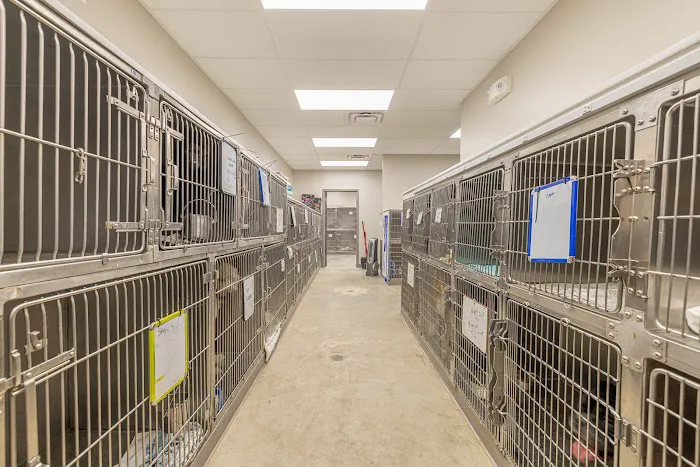 Highway 30 Veterinary Clinic Picture 7