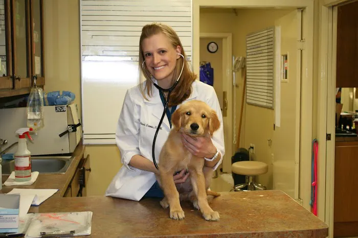 Van Stavern Small Animal Hospital Picture 4