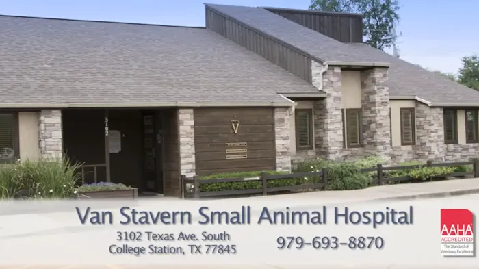 Van Stavern Small Animal Hospital Picture 9