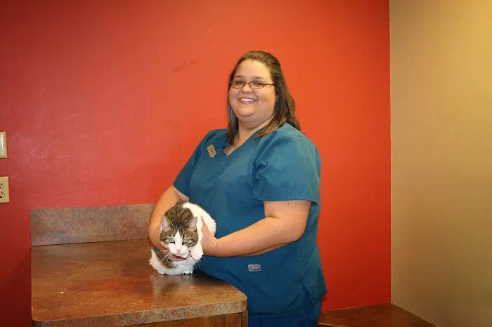 Van Stavern Small Animal Hospital Picture 10