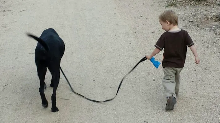 Simonson Veterinary Services Picture 1