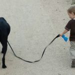 Simonson Veterinary Services