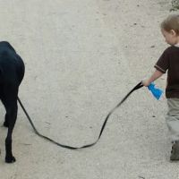Simonson Veterinary Services ico