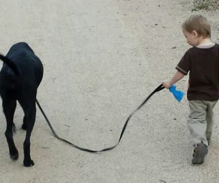 Simonson Veterinary Services