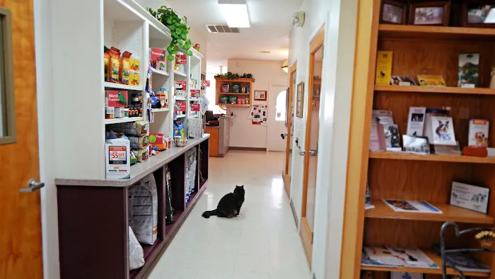 All Pets Veterinary Medical Center Picture 6