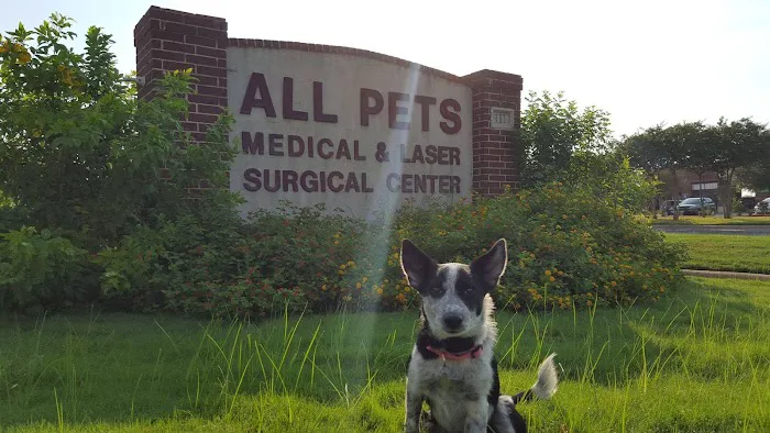 All Pets Veterinary Medical Center Picture 3