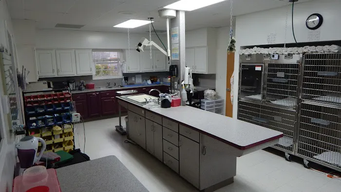 All Pets Veterinary Medical Center Picture 2