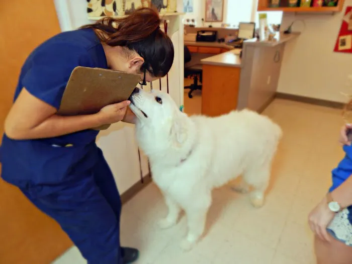 All Pets Veterinary Medical Center Picture 9