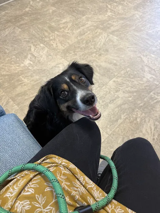 Southwood Valley Animal Hospital Picture 1