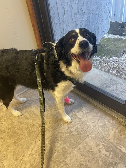 Southwood Valley Animal Hospital Picture 10