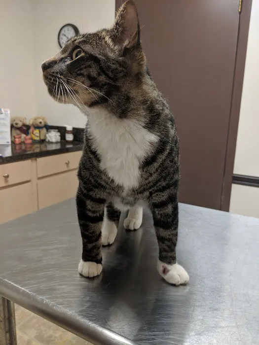 Anderson Ridge Veterinary Hospital Picture 8