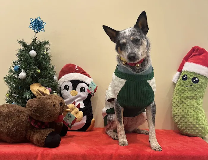 Vetco Total Care Animal Hospital Picture 1