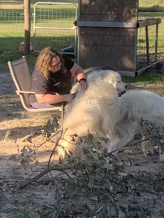 Vetco Total Care Animal Hospital Picture 4