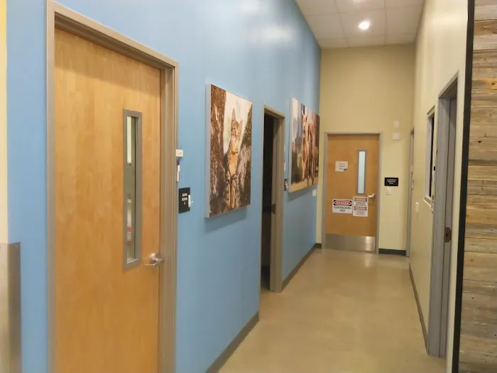 Vetco Total Care Animal Hospital Picture 10
