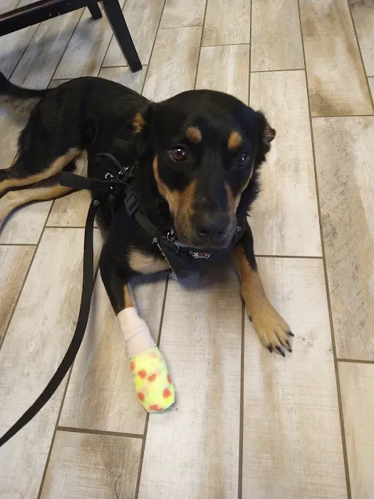 Sealy Animal Hospital Picture 7