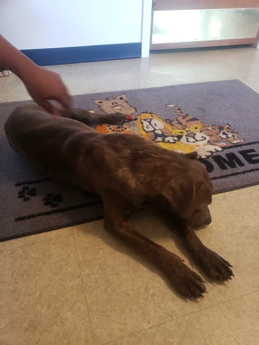 Sealy Veterinary Clinic Picture 2