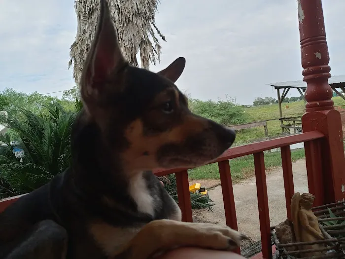 Sealy Veterinary Clinic Picture 1