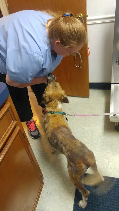 Sealy Veterinary Clinic Picture 5
