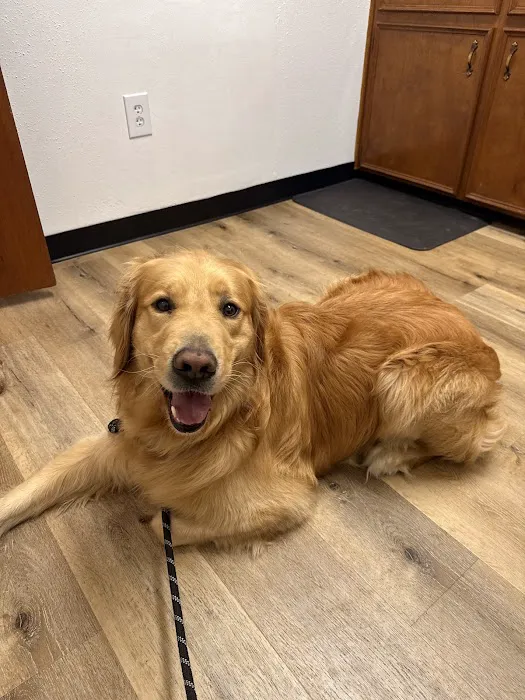Sealy Veterinary Clinic Picture 10