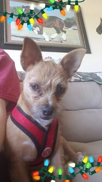 Sealy Veterinary Clinic Picture 9