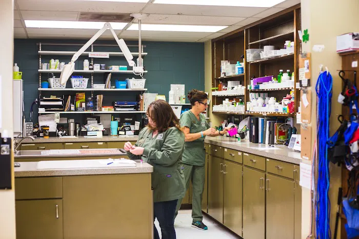 Brenham Veterinary Hospital Picture 2