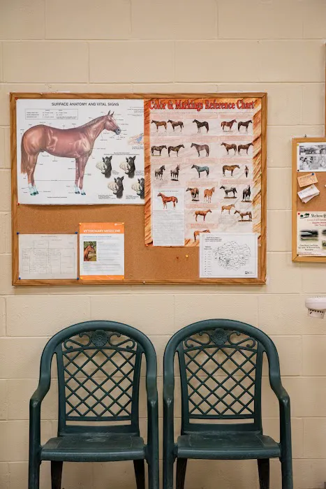 Brenham Veterinary Hospital Picture 6