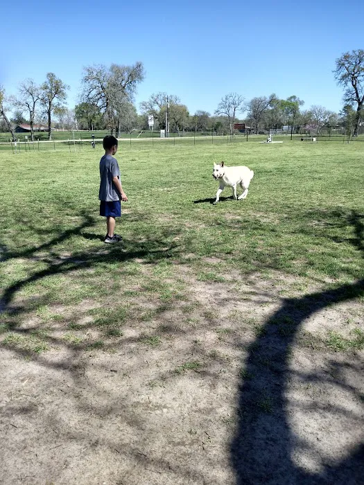 Washington Animal Clinic Picture 2