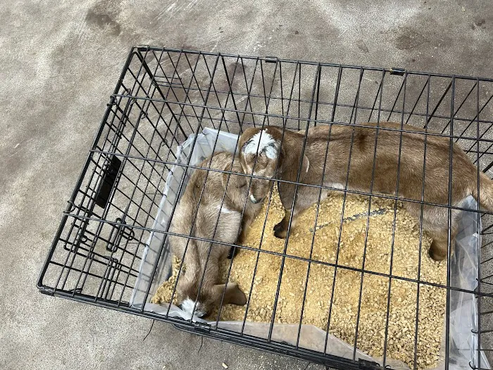 Washington Animal Clinic Picture 6