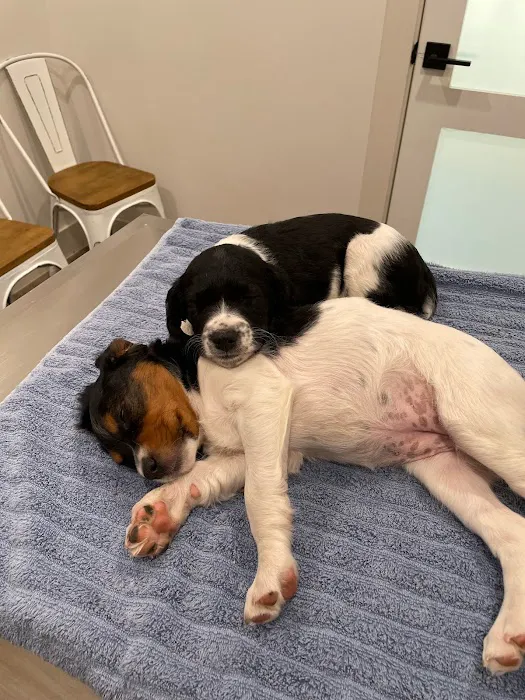 Watermark Veterinary Hospital Picture 2