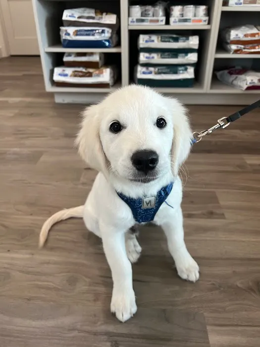 Watermark Veterinary Hospital Picture 4