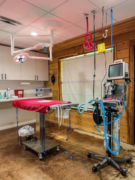 Watermark Veterinary Hospital Picture 3