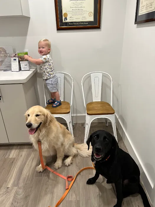 Watermark Veterinary Hospital Picture 5