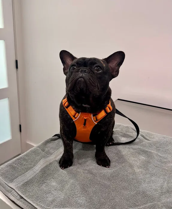 Watermark Veterinary Hospital Picture 10
