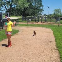 Animal Friends of Washington County veterinary clinic AND dog park ico